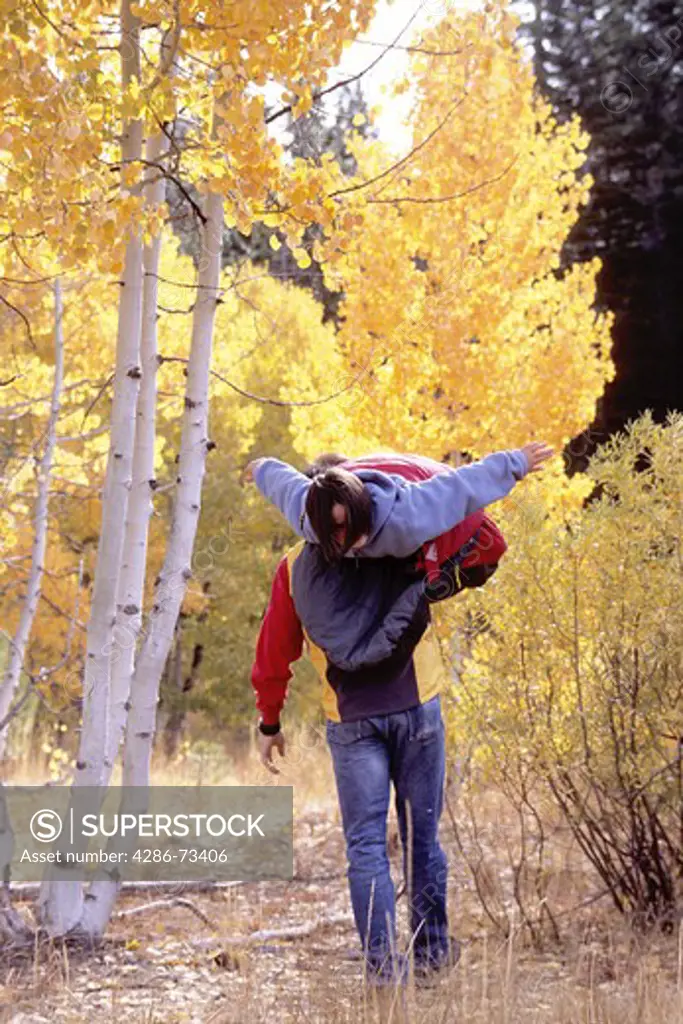 A father carrying his daughter over his shoulder while camping in a meadow in the autumn next to some yellow aspen trees near Truckee in California