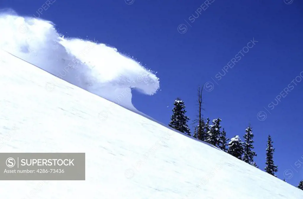 Skier with snow spray in the Wasatch mountains in Utah, USA