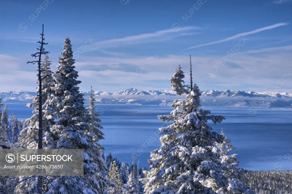 HDR tone mapped A view of Lake Tahoe California with snowy trees in the morning after a winter storm