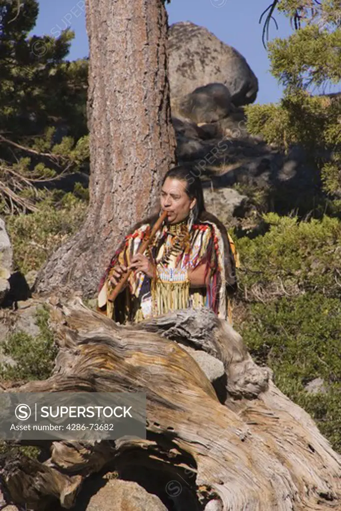 A Lokata Native American Indian warrior in full costume playing a wooden flute in the forest