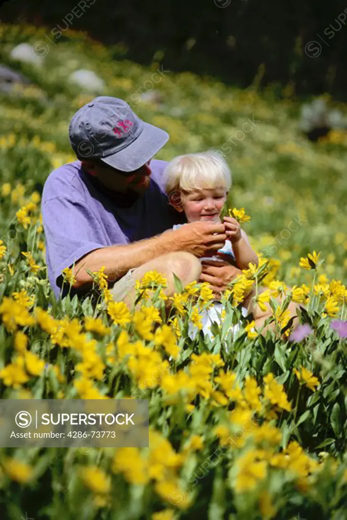 Father and son sitting in field of flowers in the Wasatch mountains near Alta in Utah, USA