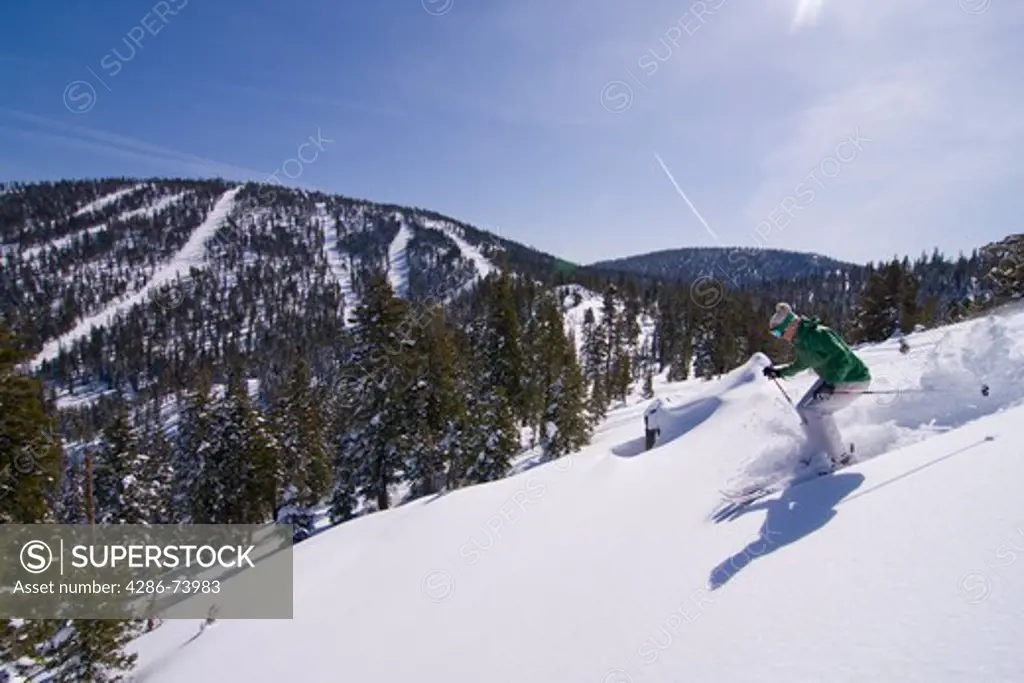 A woman alpine skiing in fresh powder snow on a blue sky day at Northstar near Lake Tahoe in California