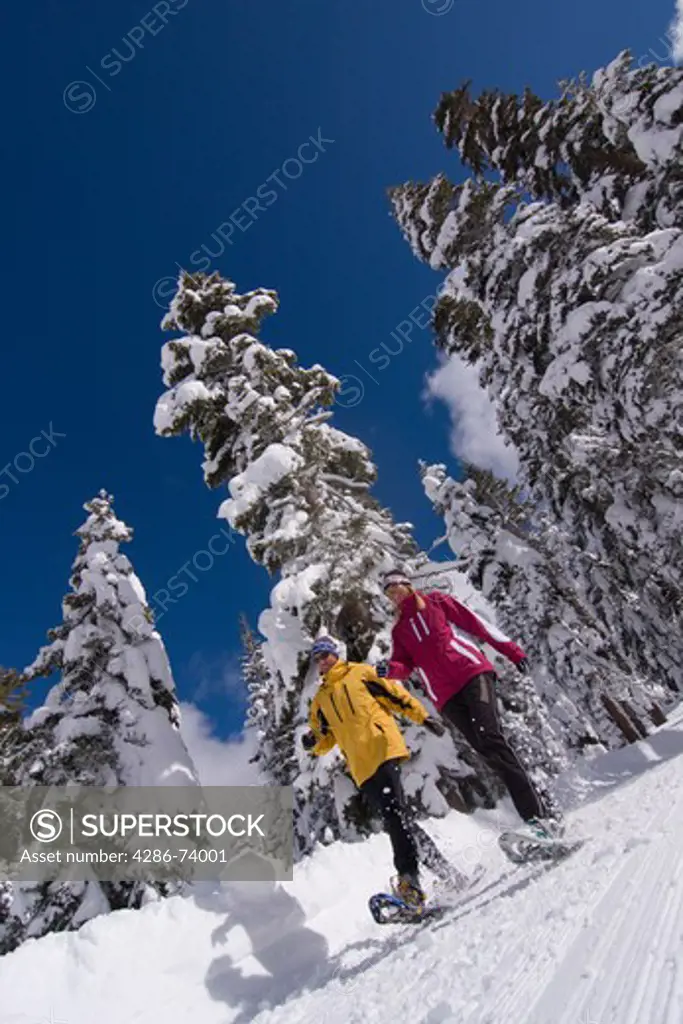 A couple snowshoeing on a sunny winter day with snow covered trees at Northstar near Lake Tahoe in California
