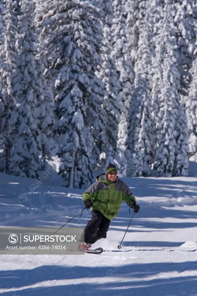 A man telemark skiing past snow covered pine trees at Northstar ski resort near Lake Tahoe in California