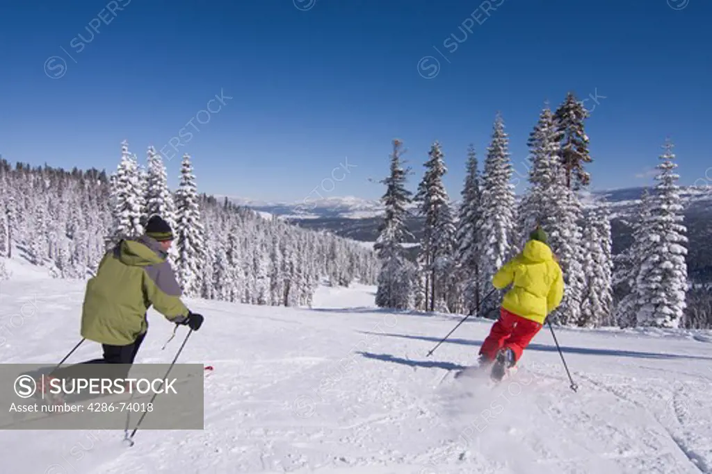 Two people telemark skiing past snow covered pine trees at Northstar ski resort near Lake Tahoe in California