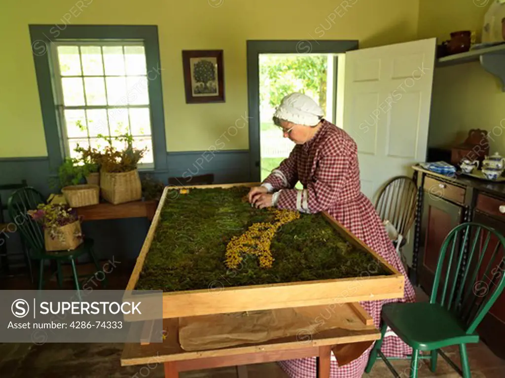 Canada Ontario Morrisburg Upper Canada Village,woman creating a tapestry from moss and dried flowers
