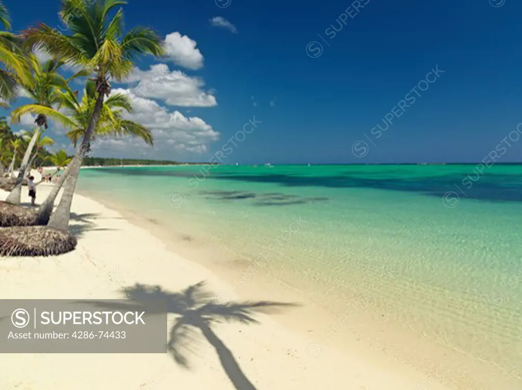 Dominican Republic Punta Cana Bavaro Beach shadow of palm tree on a white sandy beach facing