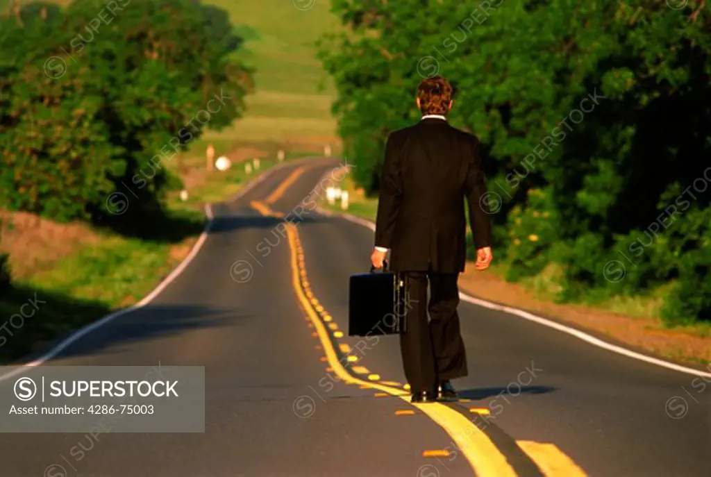 Businessman walking on country road with briefcase at dawn