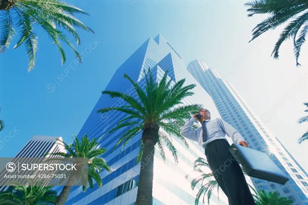 Businessman talking on cellphone with briefcase in Los Angeles