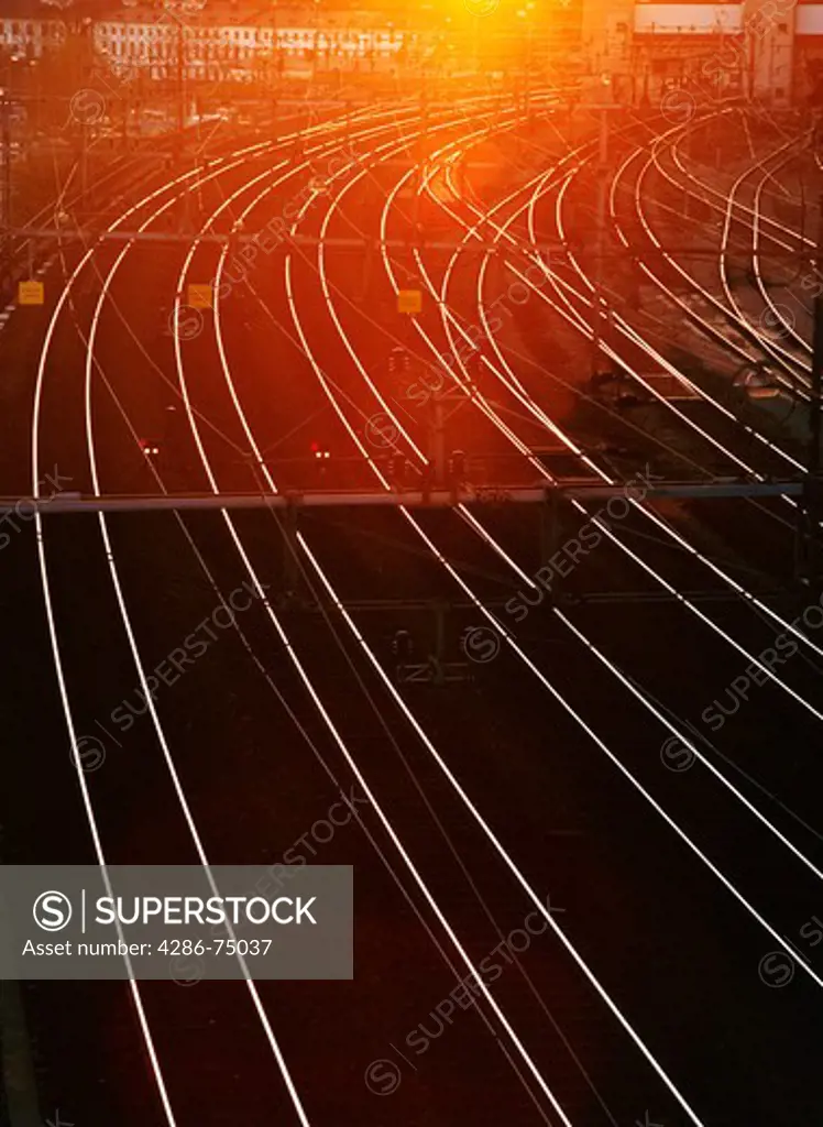 Railroad tracks reflecting sunset light 