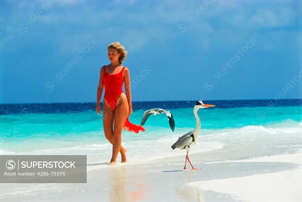 Woman with two herons on beach in Maldives