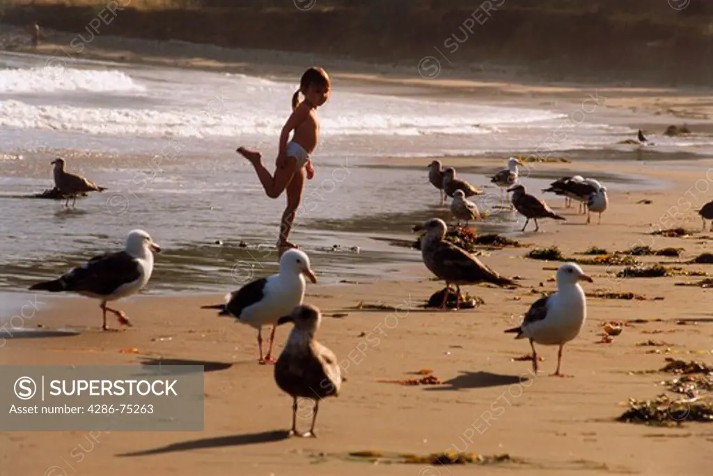 Four year old girl standing like a shorebird in California