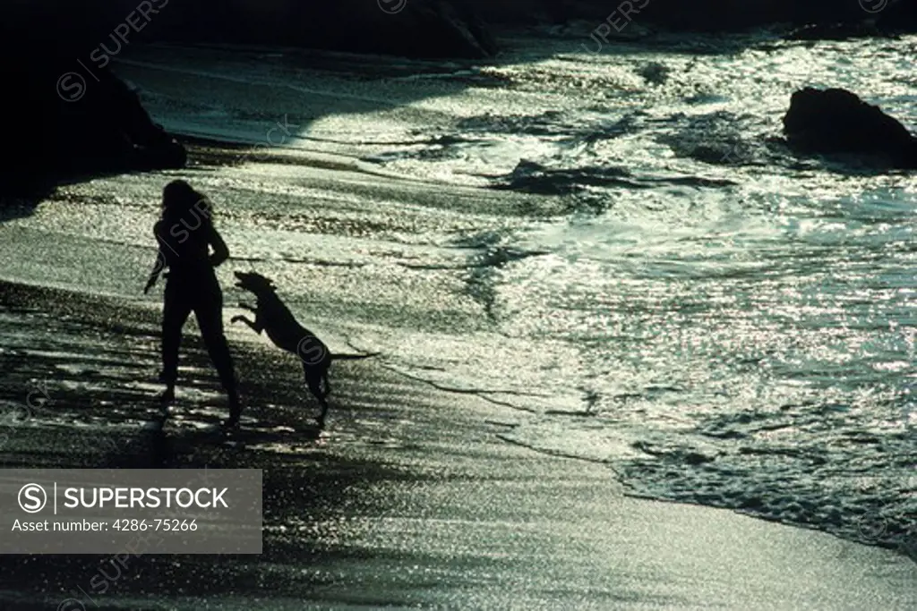 Woman running along shore with her dog
