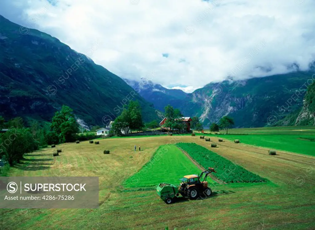 Farm and tractor near Geiranger Norway