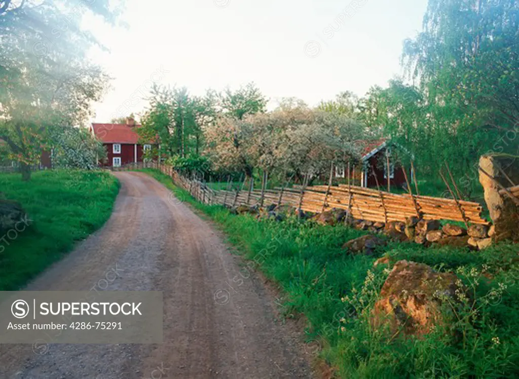 Country farm lane leading to old red farmshouse in Smaland Sweden