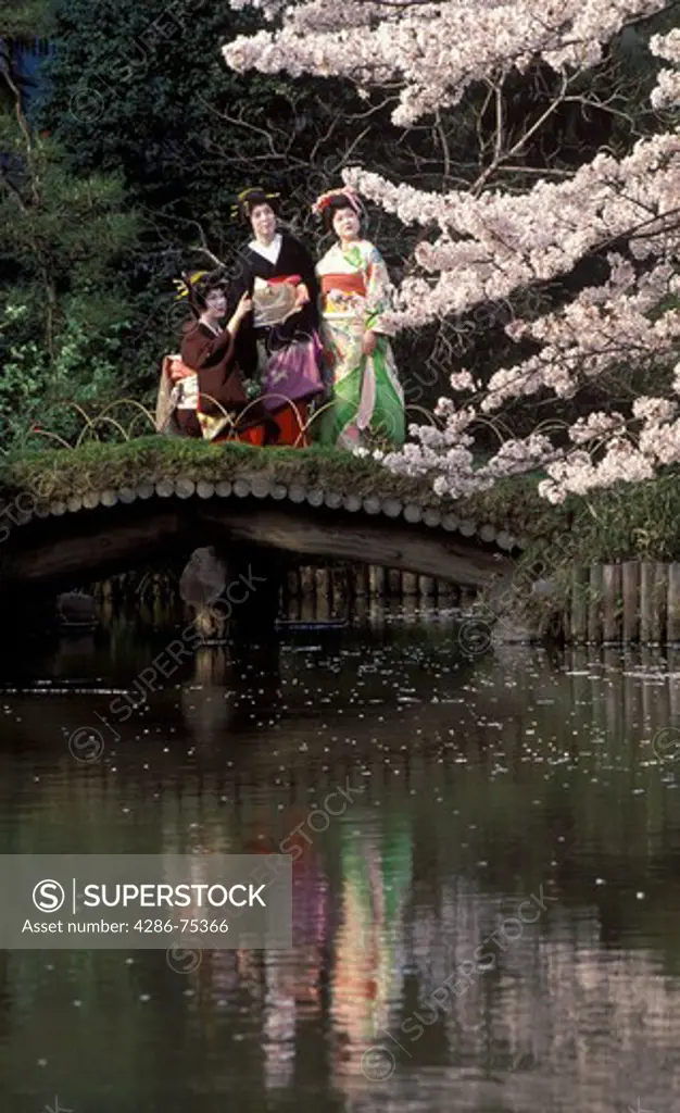 Geisha girls in colorful kimonos on bridge over pond reflecting cherry blossoms in Tokyo park