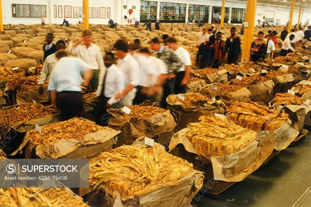Tobacco auction house in Harare Zimbabwe