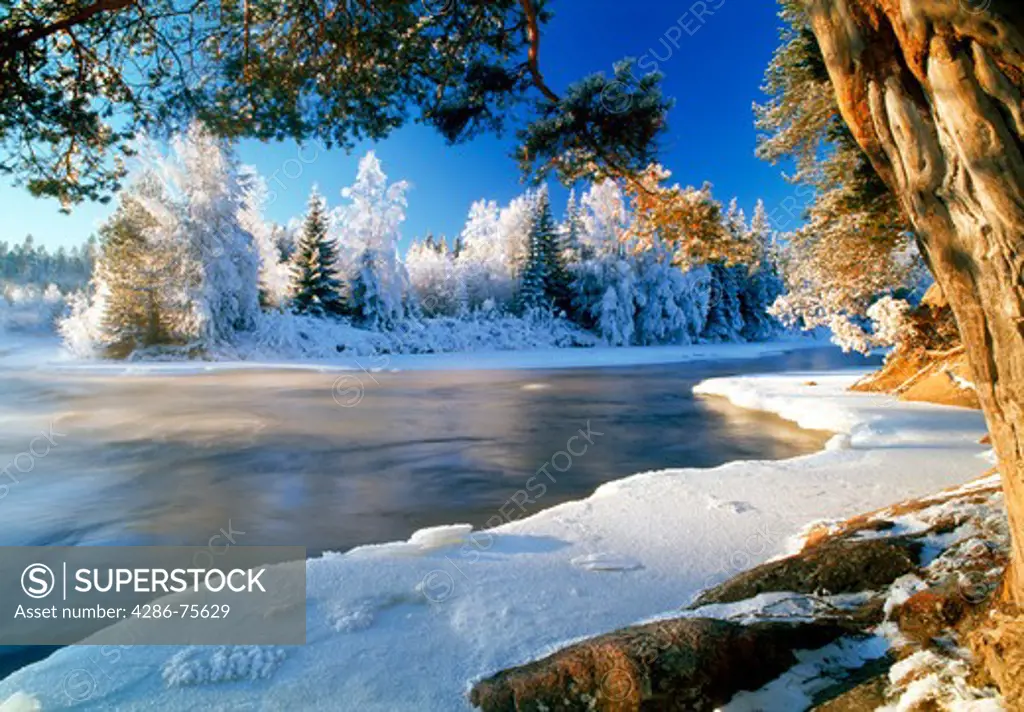 Dal River in Sweden in winter