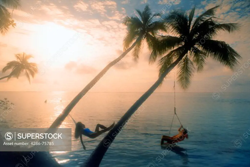 Couple hanging from seperate palm trees at sunrise on Meeru Island in Maldive Islands