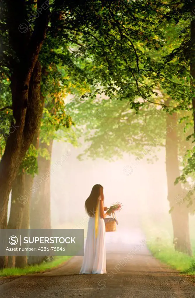 Woman with basket on tree lined country road in Sweden in misty sunrise