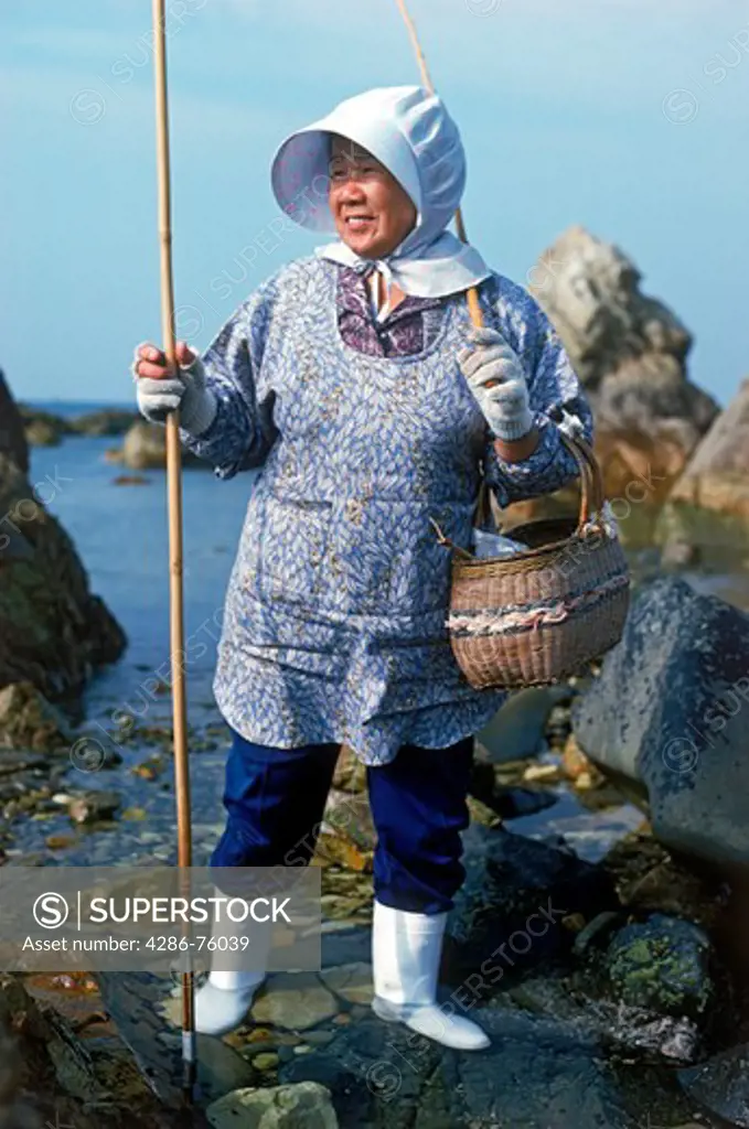 Japanese woman with basket and bonnet and pole used to pick special seaweeds from coastal tidepools