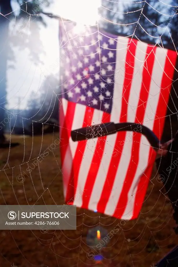 Dew drops at dawn on cobweb attached to old bicycle with American flag beyond