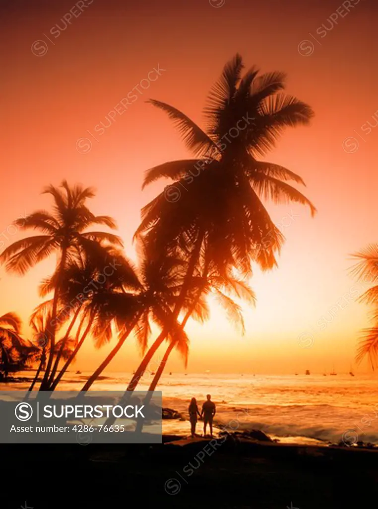 Couple standing under silhouetted palm trees on Kona Coast at sunset on Big Island of Hawaii