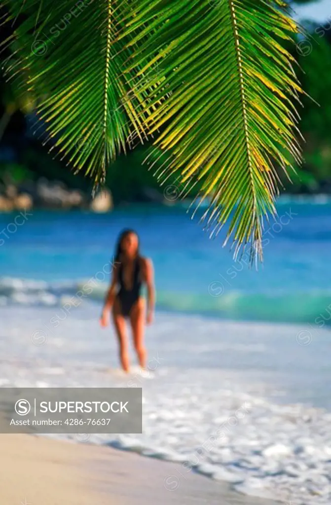One woman under palm tree frond at Anse Severe on La Digue Island in the Seychelles