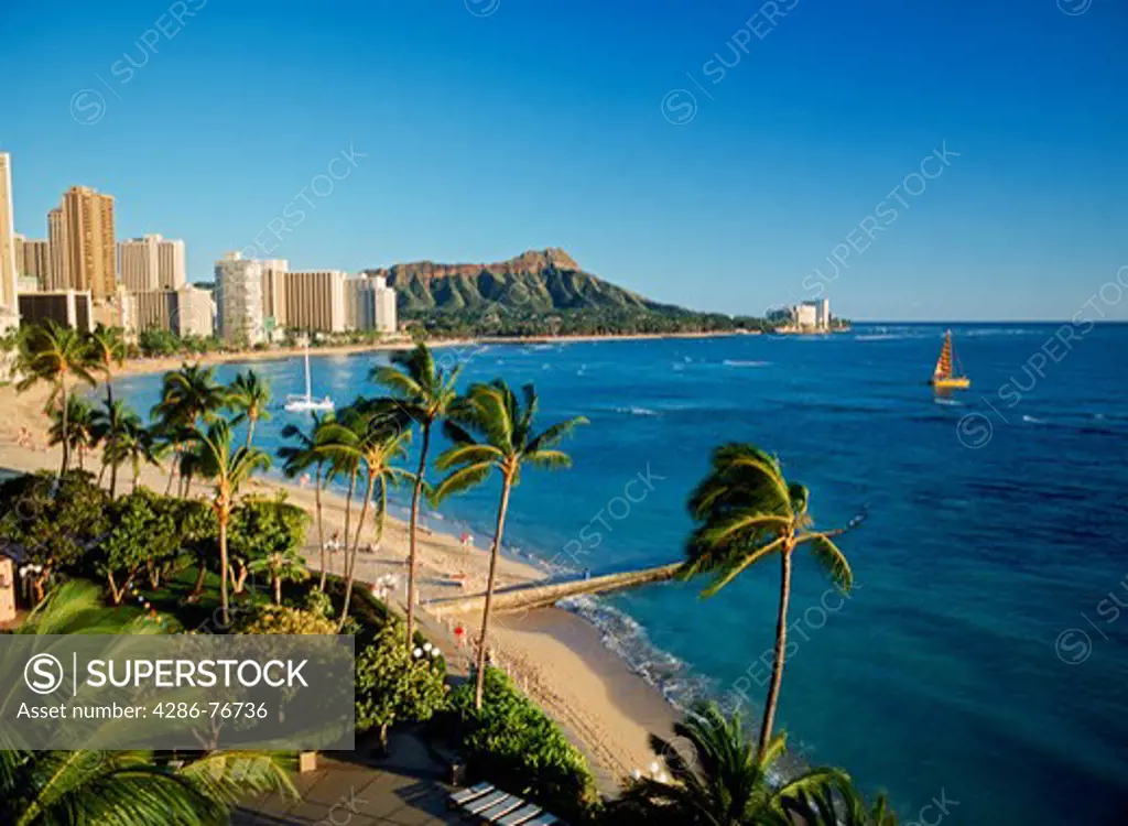 Waikiki Beach and Diamond Head over palm trees with catamaran and beach front hotels on Oahu Island in Hawaii