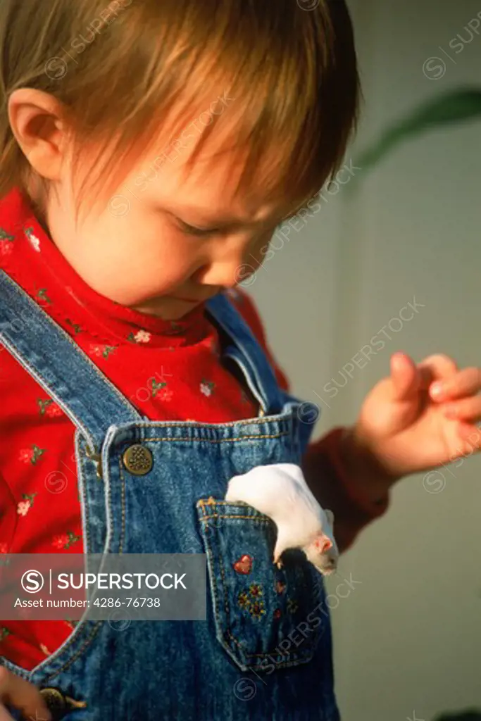 Young girl with pet white mouse in her pocket