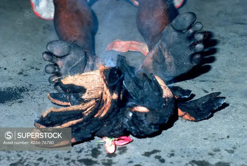 Male trance dancer's black burnt feet on island of Bali in Indonesia after walking across fire and burning coconuts