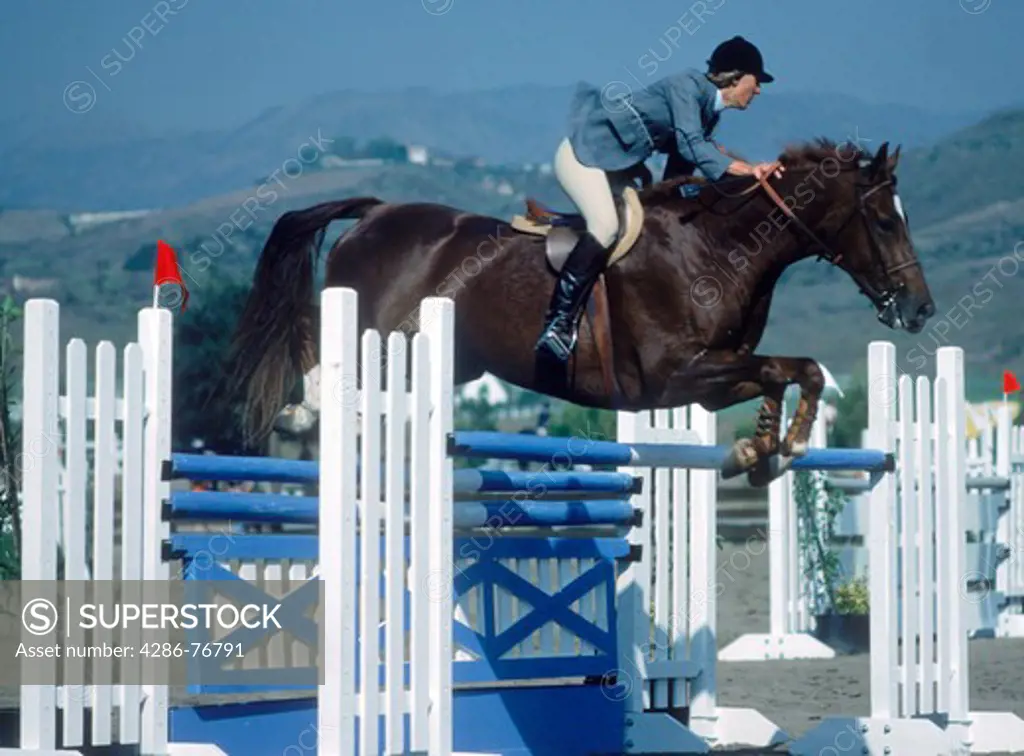 Horse jumping barrier during equestrian competition