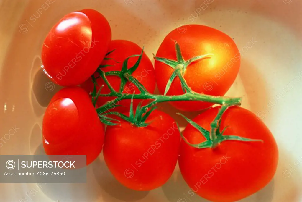 Bright red tomatoes floating in bowl of water in restaurant kitchen