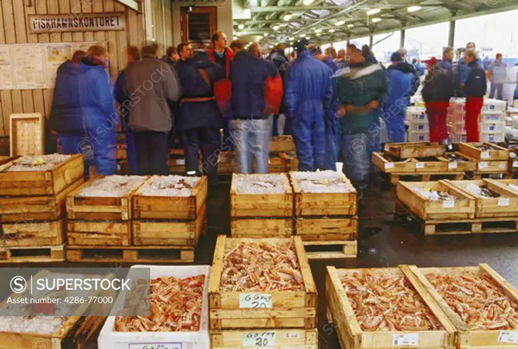 Boxed fresh fish, shrimp and crab being auctioned off from docks of Gothenburg (Goteborg) to markets and restaurants