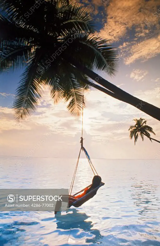 Woman in swing hanging from palm tree on Meeru Island in Maldives at sunrise