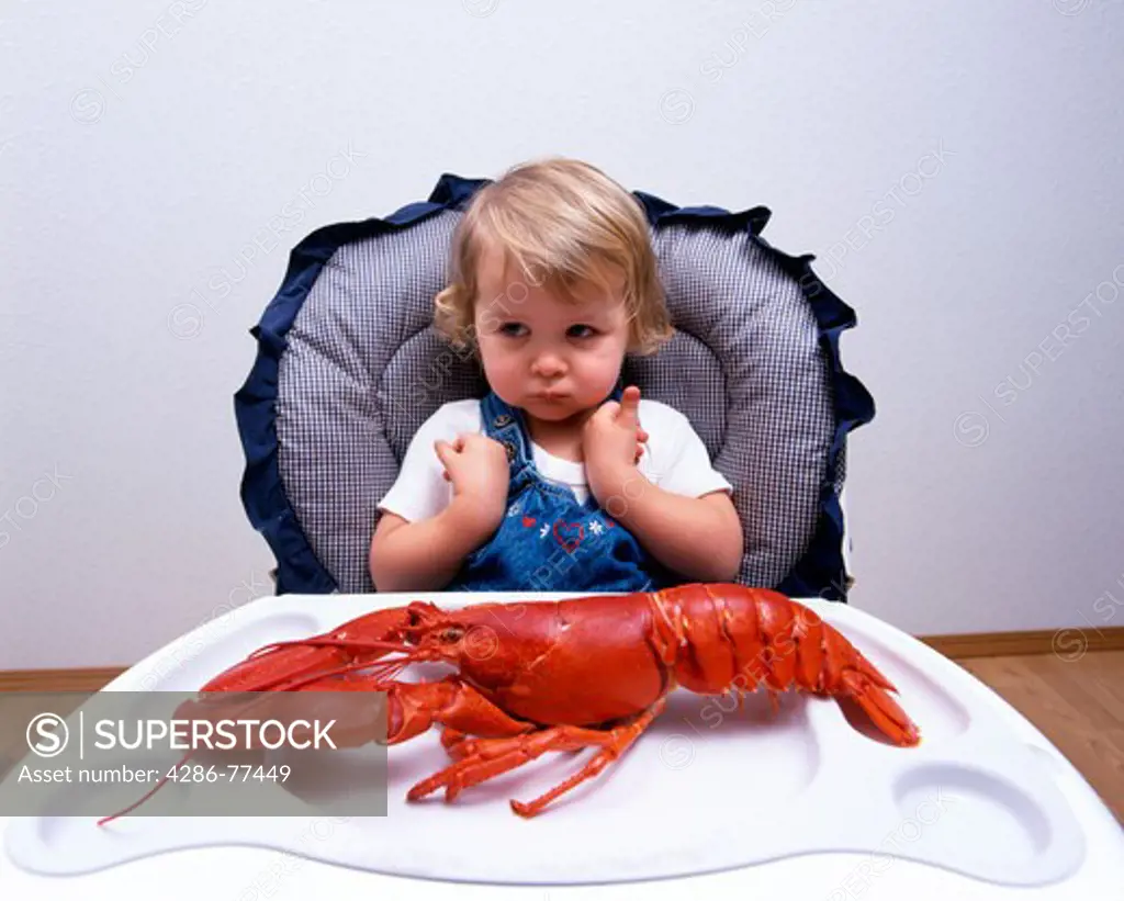 Young girl in high chair with lobster on tray