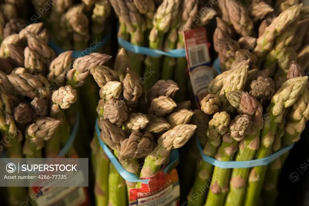 Bundles of asparagus