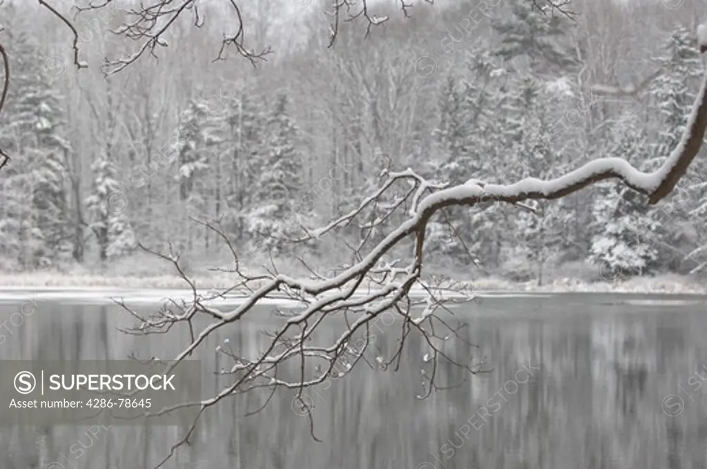 Winter scene of a lake.