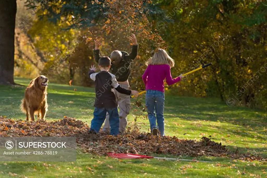 Children raking and playing in Autumn leaves