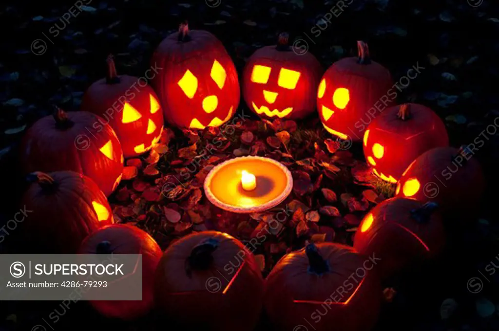 Residential neighborhood home with scary lit carved pumpkins at twilight all looking at pumpkin pie with candle in a seance circle in a backyard on Halloween night with fall leaves Snohomish County, Marysville, Washington State USA