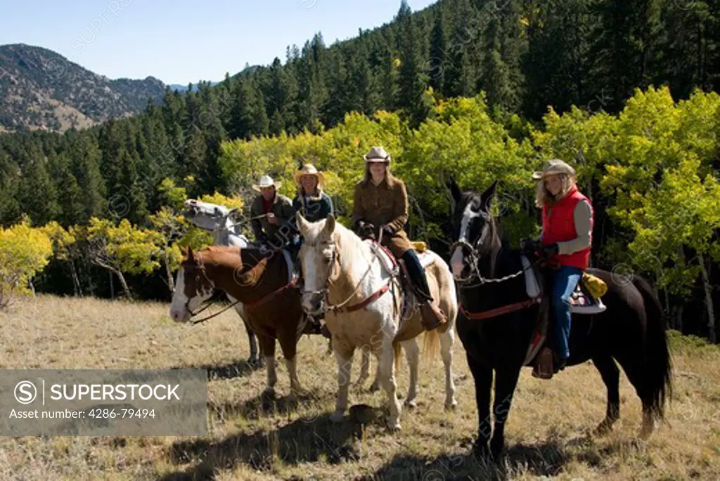 Family outdoors on a crisp and cool fall morning riding horses on a wrangler-led ride, amid aspen groves high in the Rocky Mountains, near Estes Park, Colorado, USA