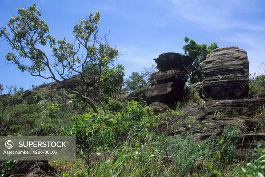 Rock outcrop  with cerrado vegetation (wooded savanna) in Parque Estadual (State Park) dos Pireneus near Pirenopolis, Brazilian Highlands, Gois, Brazil