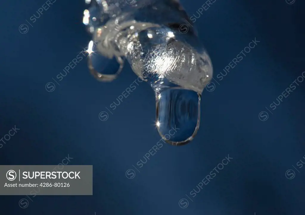 A water drop hangs from an icicle during a spring melt.  