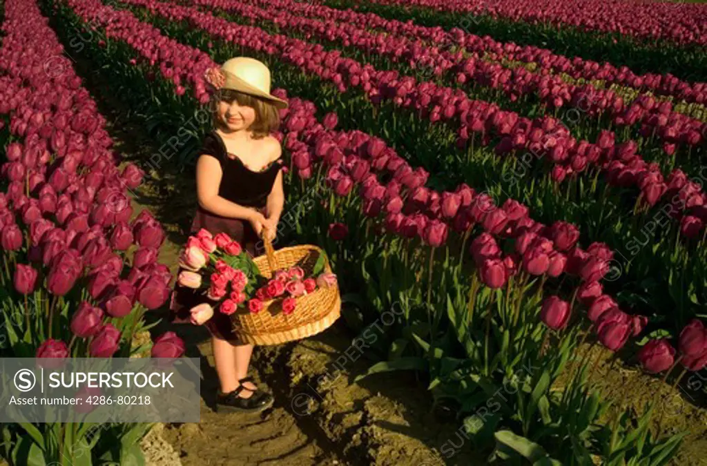Girl picking pink tulips