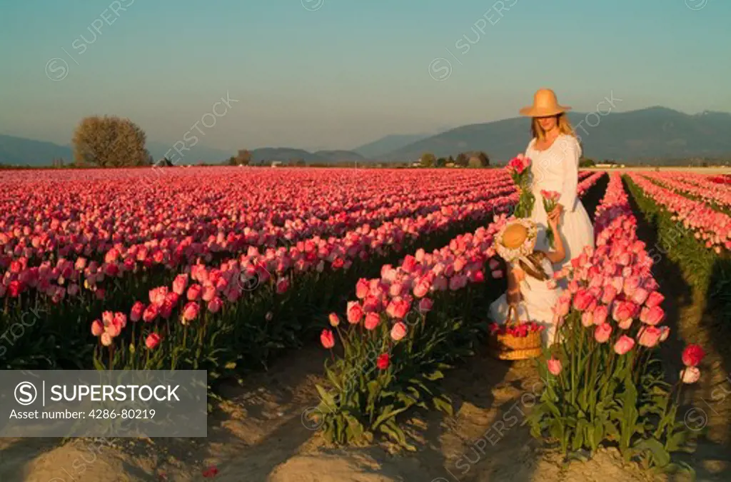 Mother and daughter in field picking tulips