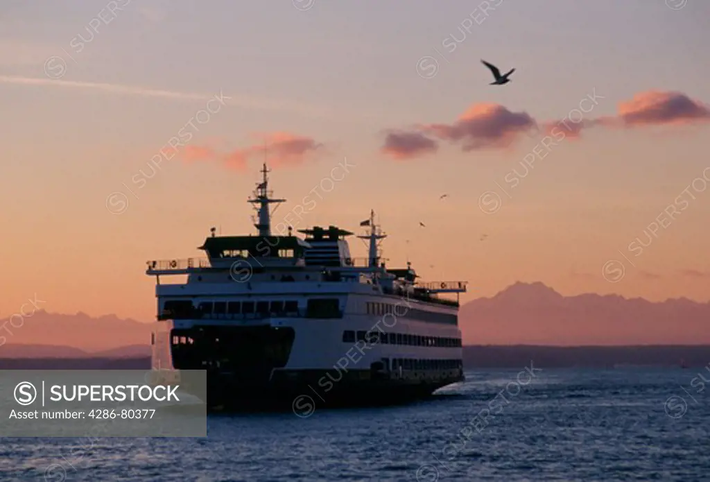 The Washington State Ferry at dawn