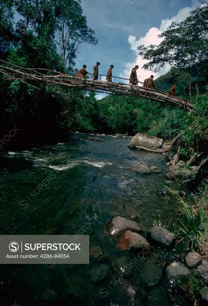Machiguenga Indians cross a live sapling bridge over the R¡o Montalo on the eastern wall of Peru's Cordillera Vilcabamba. Bridge cannot fall down, only up, because tall saplings are bent down from opposite banks and joined.
