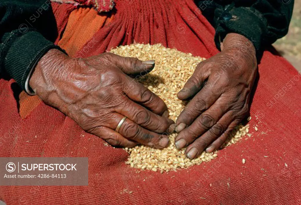 Peruvian highland woman with barley.