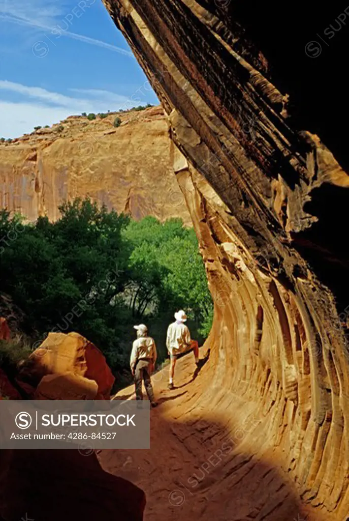 Hikers at opening of Ringtail Canyon on the Escalante River in Glen Canyon National recreation Area Utah