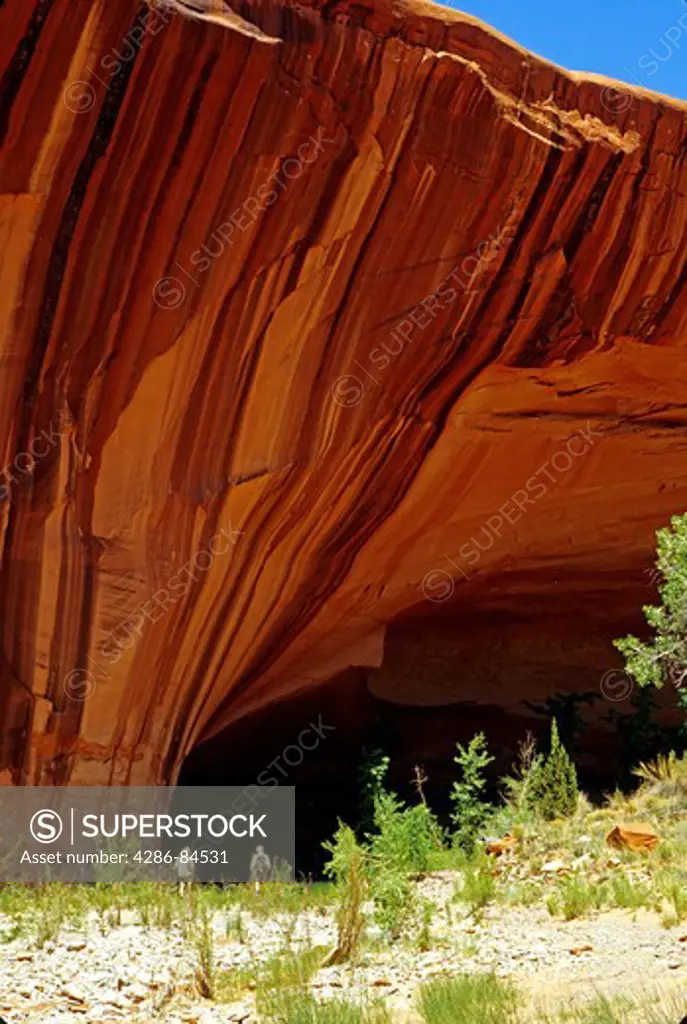 Hikers in Choprock Canyon on Escalante River in Glen Canyon National Recreation Area Utah